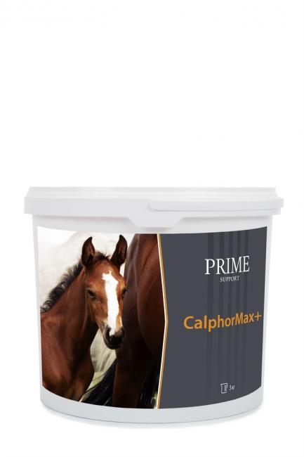 CalphorMax+ — крепкие кости и правильный рост
